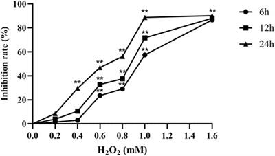 Number 2 Feibi Recipe Inhibits H2O2-Mediated Oxidative Stress Damage of Alveolar Epithelial Cells by Regulating the Balance of Mitophagy/Apoptosis